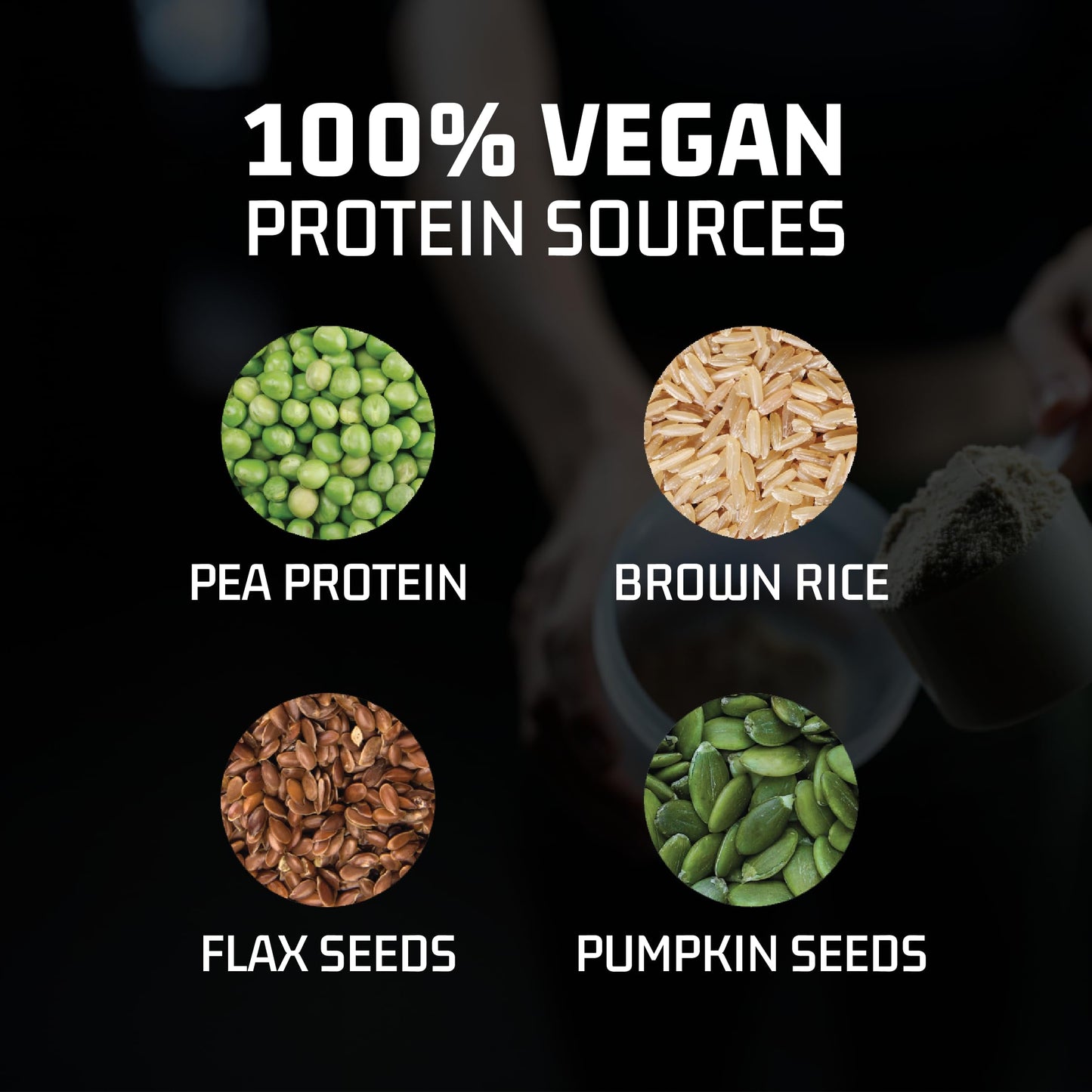 Plantigo Clean Protein Powder Men & Women | 24g Plant Protein, 4.4g BCAA, 2g Leucine, 4g Fiber | No Sugar, No Dairy, No Preservatives | Swiss Chocolate 500g