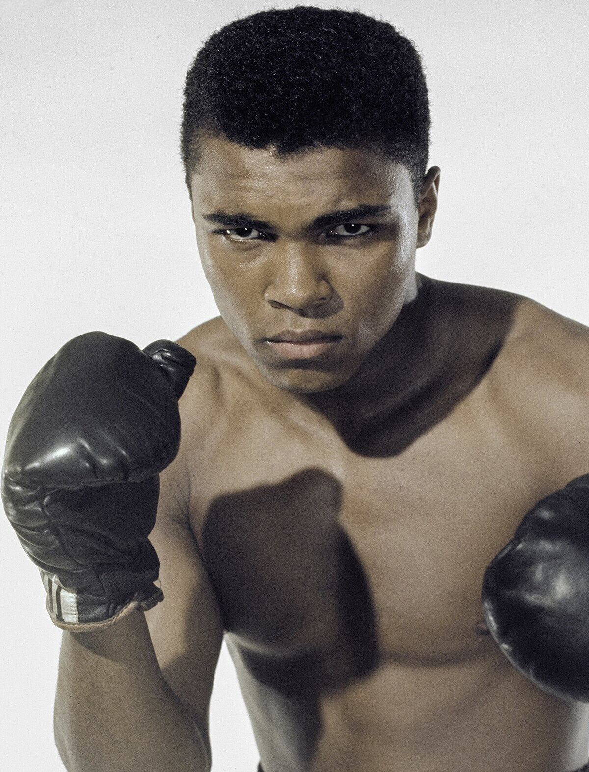 Sports Boxing Gloves with Handwrap (Boxing Tape)